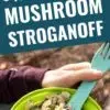   टेक्स्ट ओवरले रीडिंग के साथ Pinterest ग्राफिक"Backpacking Mushroom Stroganoff"