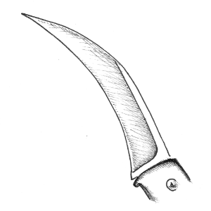 lame de couteau de poche Hawkbill
