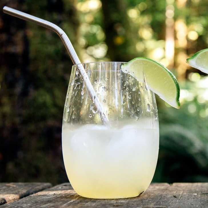 Um refrescante copo de limonada com gelo, guarnecido com uma rodela de limão, apoiado sobre uma superfície de madeira em meio a um fundo verdejante.