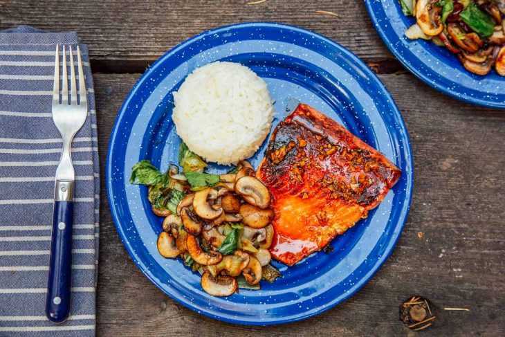 نیلے رنگ کی کیمپنگ پلیٹ پر شہد کی چمکدار سالمن، چاول اور سبزیاں۔