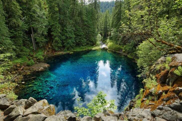 สระน้ำสีฟ้าใสพร้อมเงาสะท้อนของต้นไม้ในป่าเขียวขจี