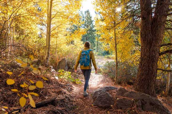 Megan nosi plavi ruksak i planinari stazom među žutim jasikama