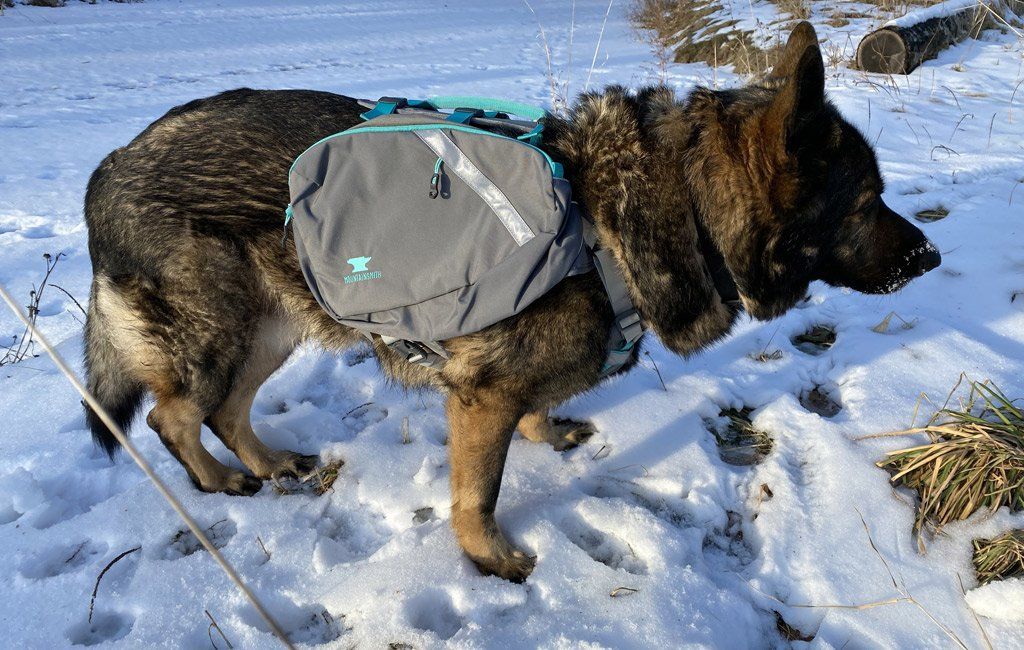 las mejores mochilas para perros de senderismo