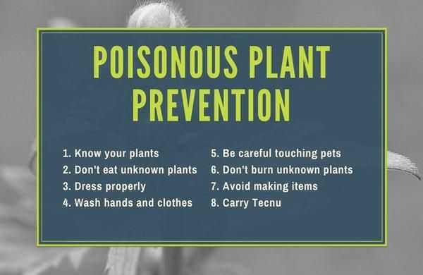 Prevención de puntas de plantas venenosas