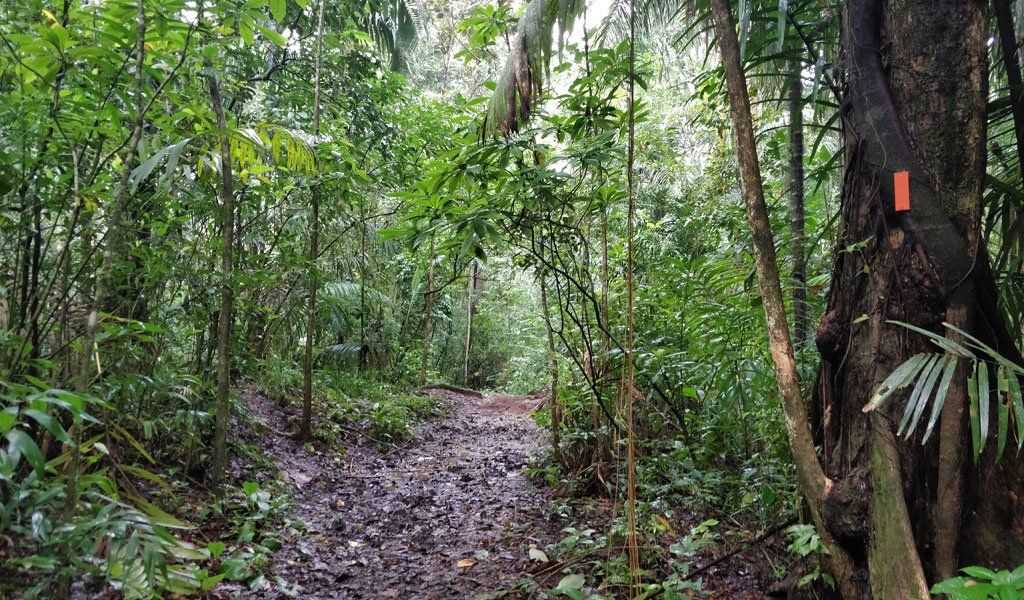 transpanama trail epische trails wereldwijd