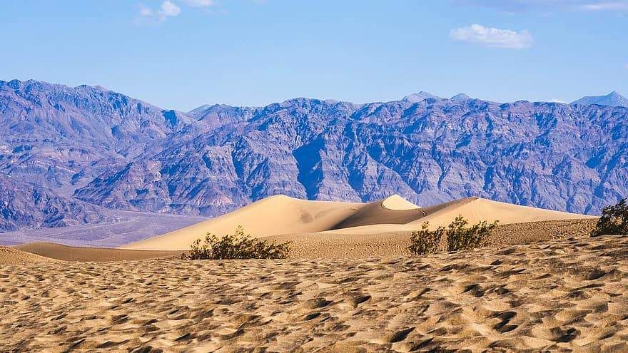 حديقة وادي الموت الوطنية مقابل الغابة الوطنية