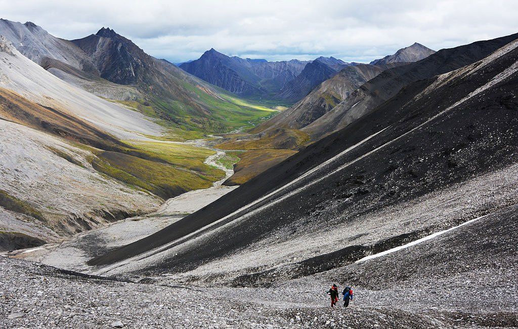 a sarkvidéki nemzeti park kapui vs nemzeti erdő