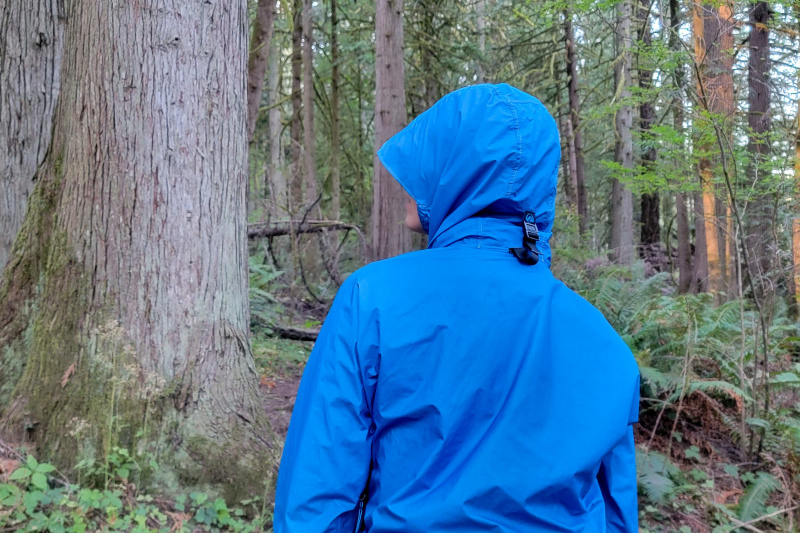   A Zpacks Vertice kabátot viselő, kapucnival felfelé tartó erdei nézet a hátán