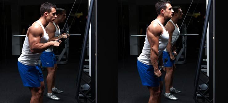 Intenzivne vježbe koje će vam pomoći u izgradnji čudovišnih tricepsa