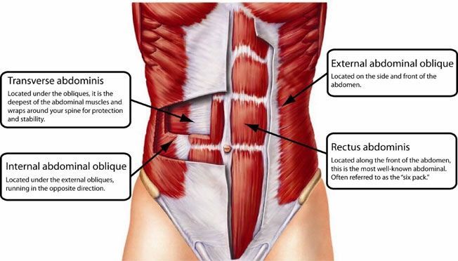 He aquí por qué debe hacer despliegues de abdominales para un núcleo increíblemente fuerte y rasgado