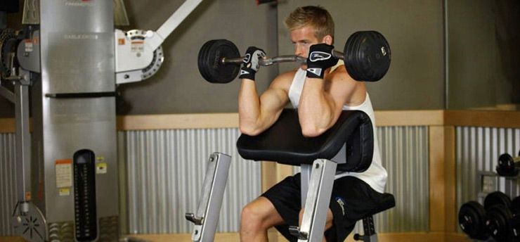 ¿Cuántos días a la semana se deben entrenar los brazos para lograr el máximo crecimiento de bíceps y tríceps?