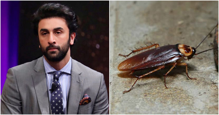 Ranbir Kapoor - Katsaridaphobia o Takot Ng Mga Cockroache