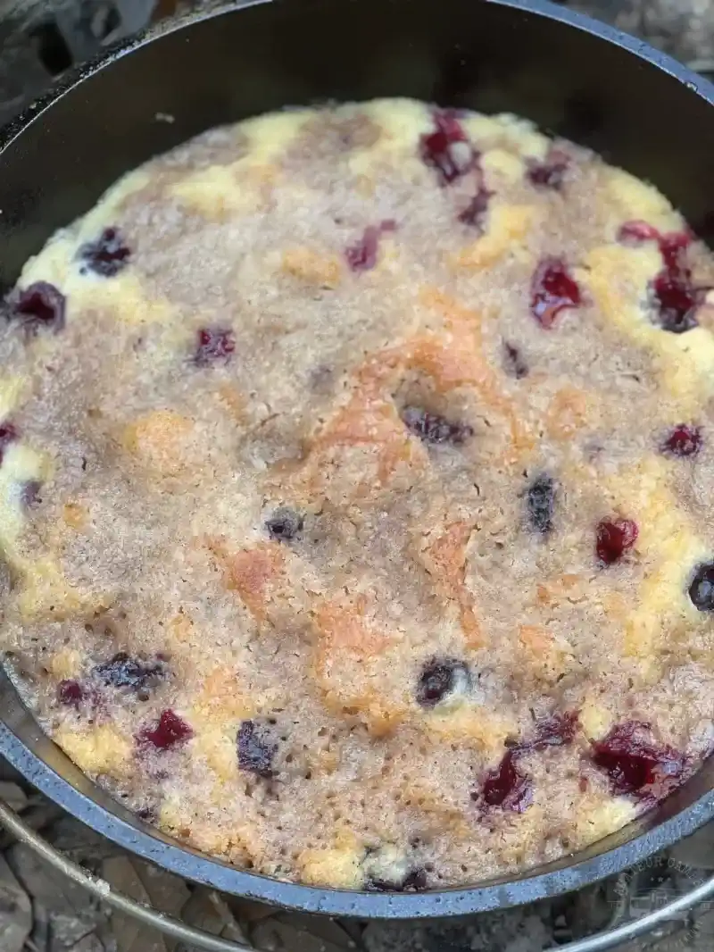   Berry buckle sa isang Dutch oven.