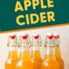   টেক্সট ওভারলে রিডিং সহ Pinterest গ্রাফিক"Homemade Apple Cider"