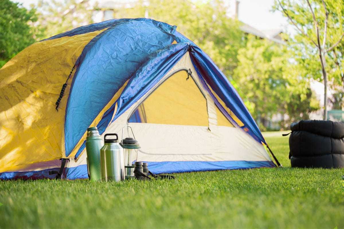 خيمة صفراء وزرقاء في الفناء الخلفي