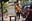 যুবরাজ নারুলার সস্তা 'ফিশনেট' স্নিকার্স তাঁর বাইসপস এবং মায়ান ট্যাটুগুলির চেয়ে বেশি চিত্তাকর্ষক