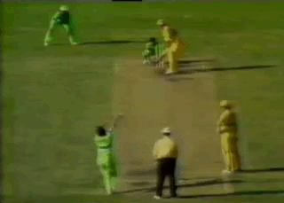 Najbolj smešne akcije balinanja v kriketu