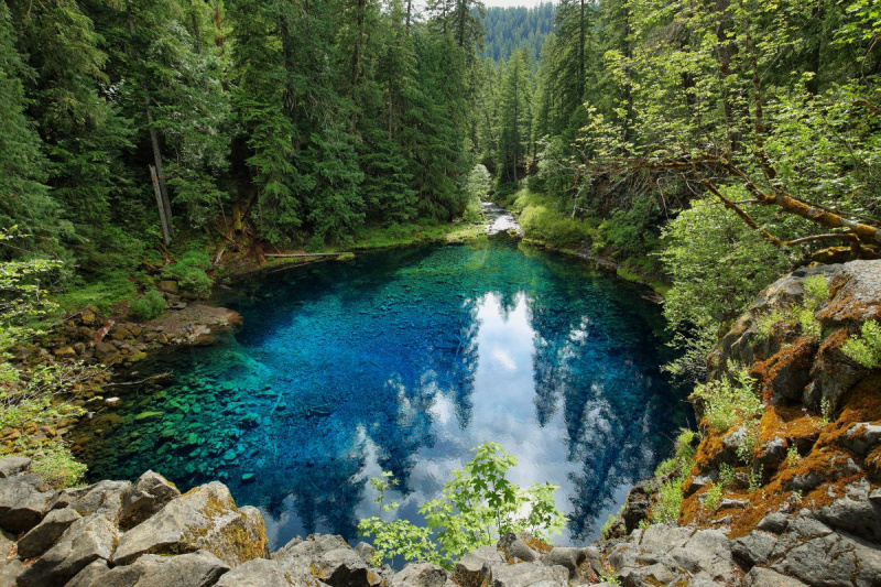   Čisto plavi bazen s odrazom drveća u zelenoj šumi