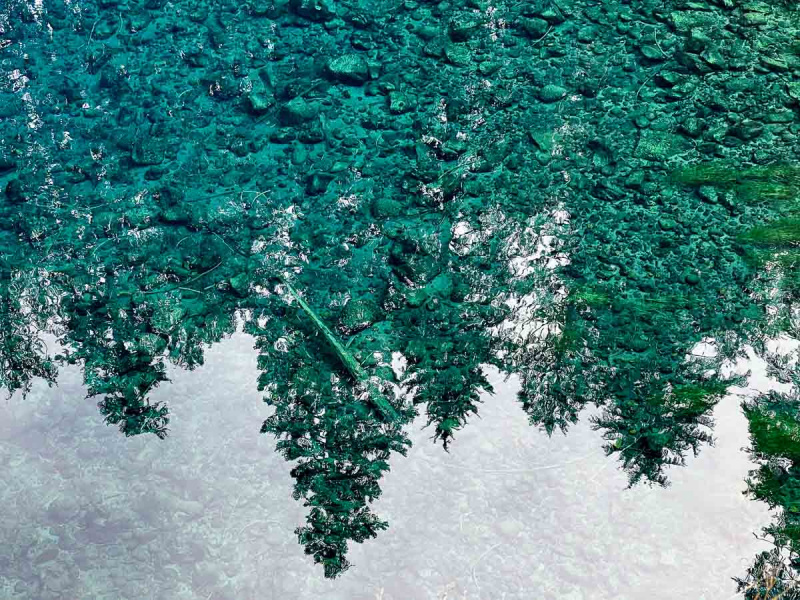   تنعكس الأشجار على سطح الماء