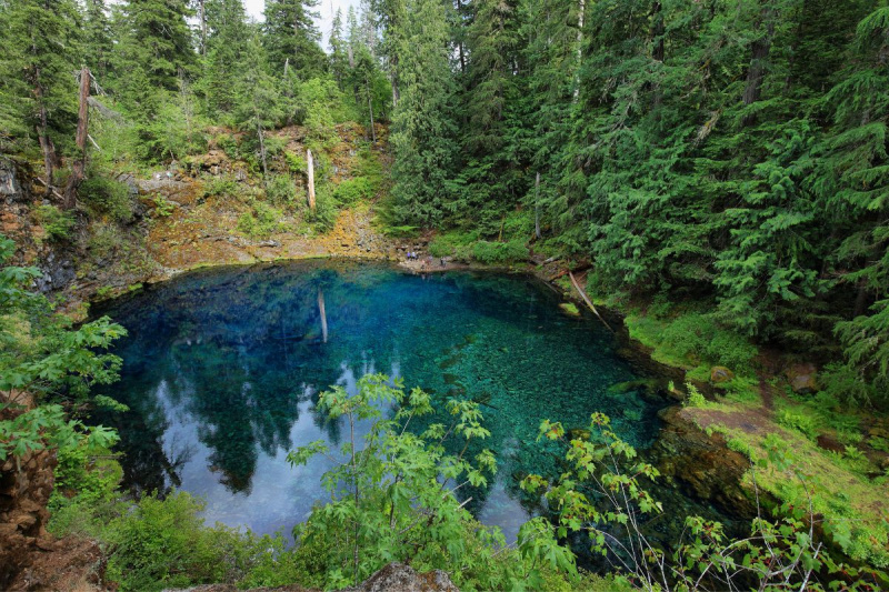   Topaz plavi bazen okružen drvećem
