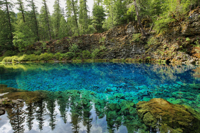   Plava voda s odrazima drveća koje okružuje bazen Tamolitch