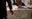 ‘স্পাইডার ম্যান: বাড়ি থেকে দূরে’ জুড়ে গাড়ির লাইসেন্স প্লেটে লুকানো 5 গোপন বার্তা