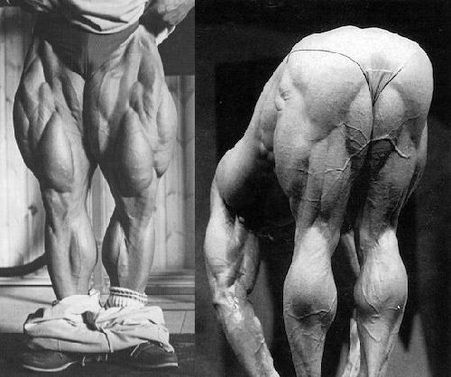 Quadfather: Najveće noge Svijet bodybuildinga ikad vidio