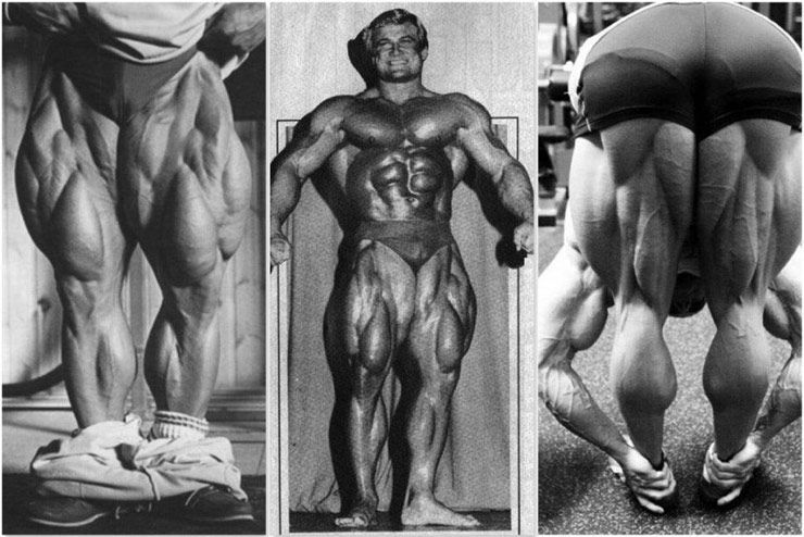 The Quadfather: Greatest Legs A testépítés világa, amit valaha láttam