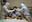 পাকিস্তানের গায়ক ইমরান হাশমির গানটি ভারতের সাথে সংহতি নিয়ে COVID সঙ্কটের মধ্যে গলে যাচ্ছে হৃদয়