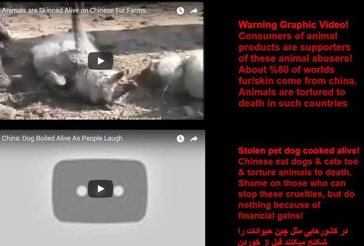 A dühös YouTube-lövöldözős furcsa eredményei, Nasim Aghdam