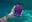 ఐఫోన్ 12 ఈ ఒత్తిడి పరీక్ష ద్వారా బయటపెట్టిన అత్యంత జలనిరోధిత స్మార్ట్‌ఫోన్