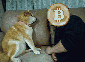 Neki urnebesni tweetovi o bitcoinima ako ne