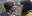 ‘অন্ধকার’ মরসুমের ট্রেলারটিতে ভক্তরা চিৎকার করছে 'মাথা Theশ্বরের কণা থেকে আরও দ্রুত ঘুরছে'