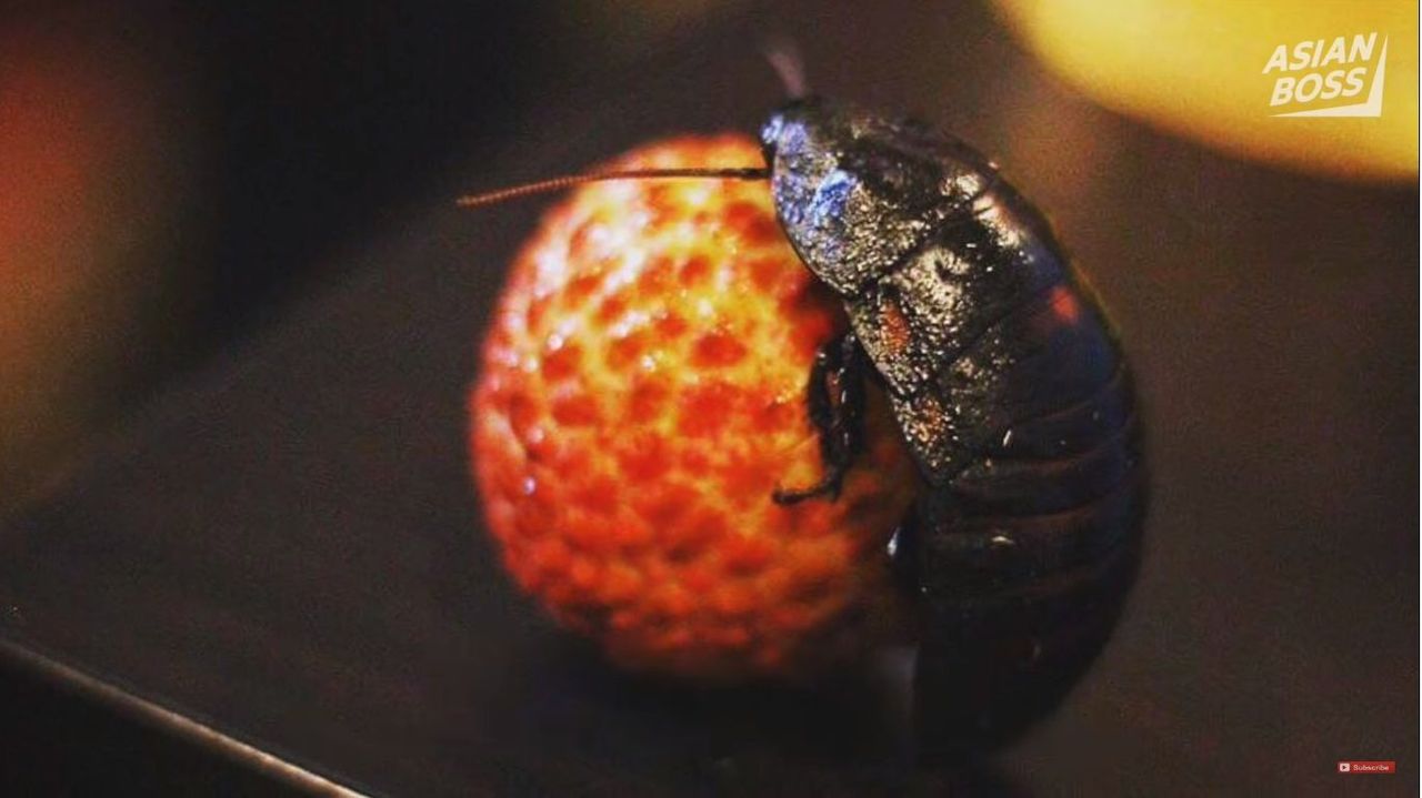 Японският човек яде хлебарка, която е датирал 1 година