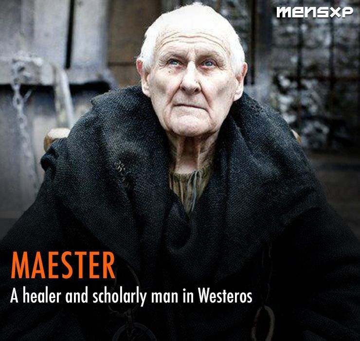 Maester