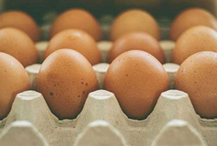 Slå av hver dumme myte om eggeplomme og kolesterol er dårlig