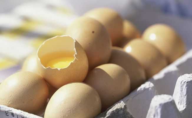 Manfaat Memiliki Kuning Telur