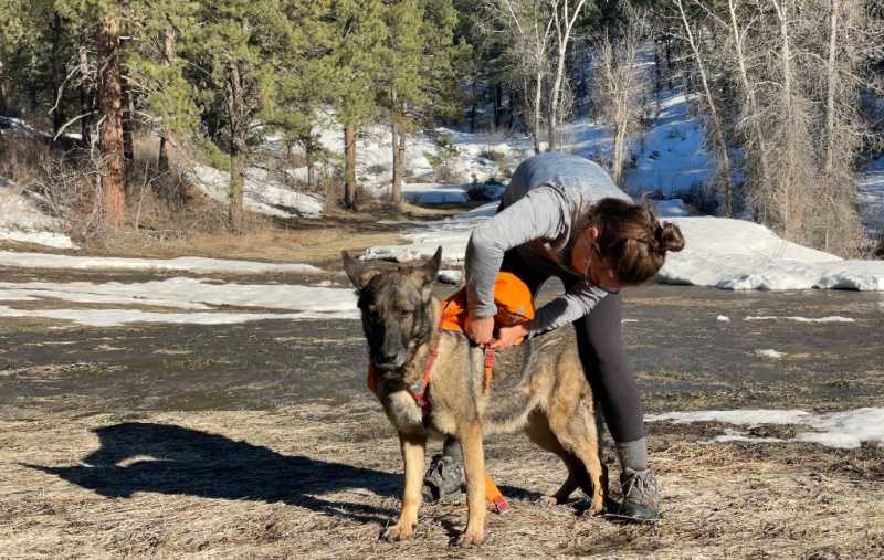   escursionista che mette Ruffwear Approach sul cane
