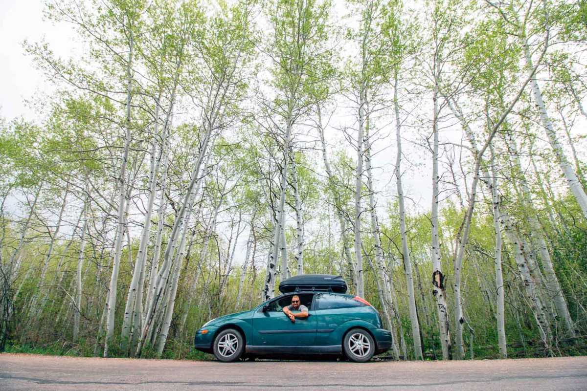 アスペンの木を背景に、緑色のフォード フォーカス ハッチバックの窓から身を乗り出すマイケル