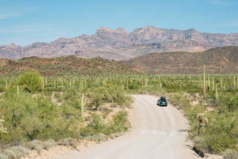 Egy autó a földúton és orgonasíp kaktusz nemzeti emlékmű