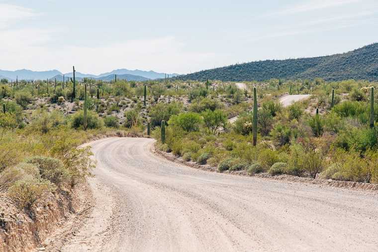 Un drum de pământ în monumentul național de cactus cu țeavă de orgă
