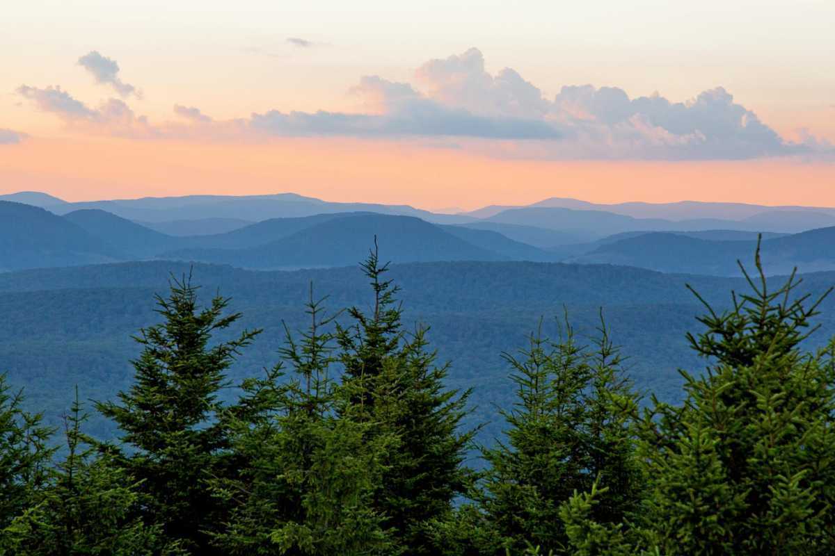 Utsikt fra Spruce Knob West Virginia