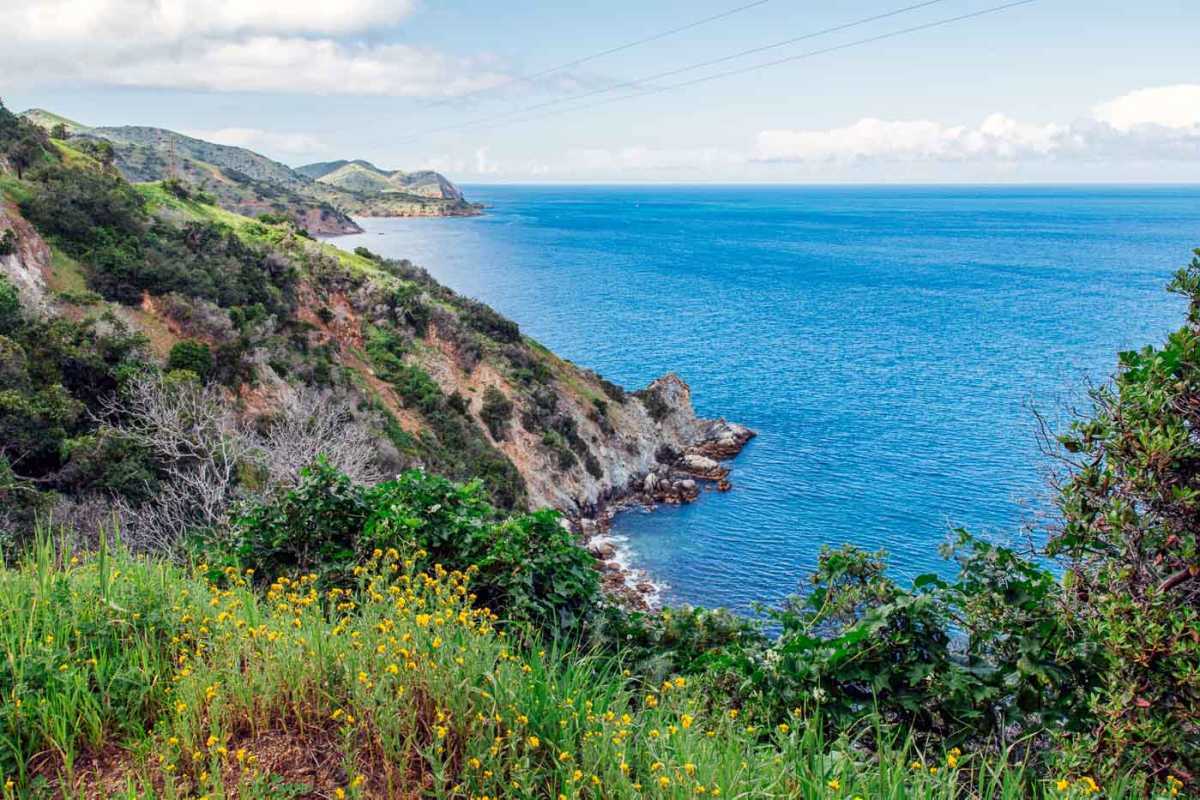 Зеленый склон острова Каталина, граничащий с океаном.