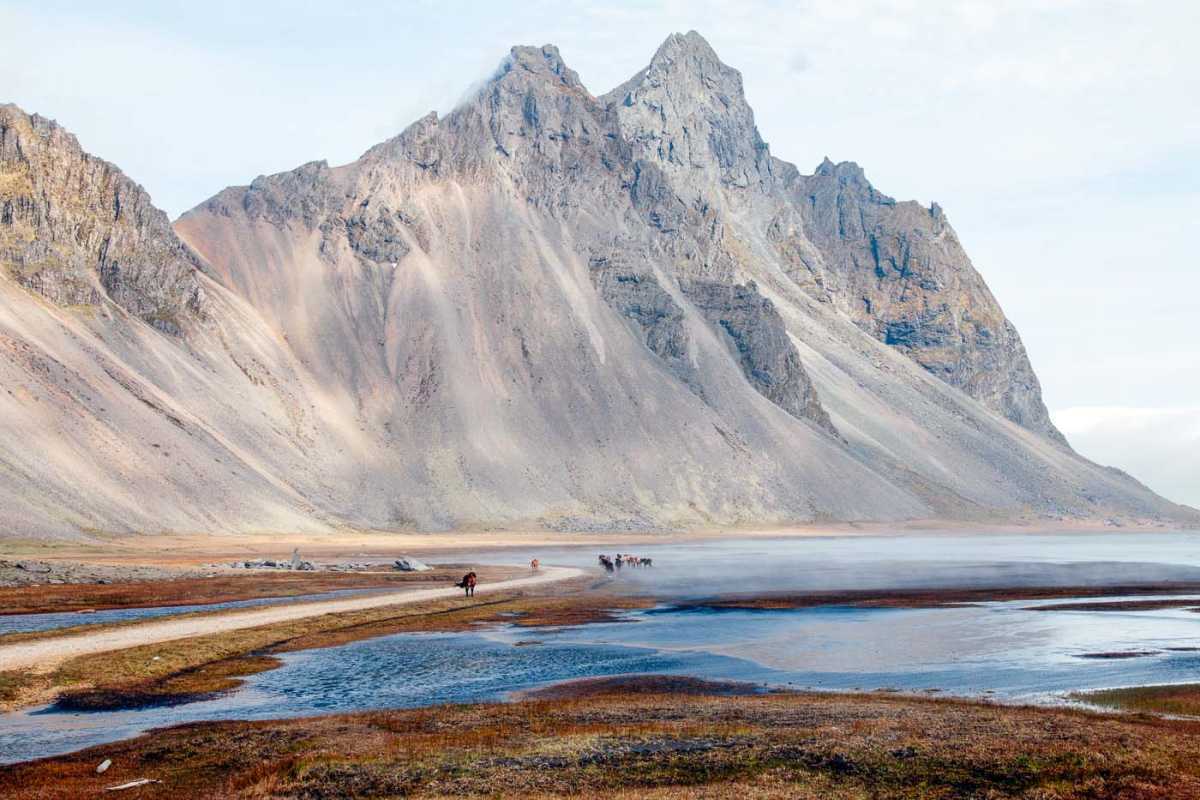 Islandshästar som går över stranden vid Stokksnes