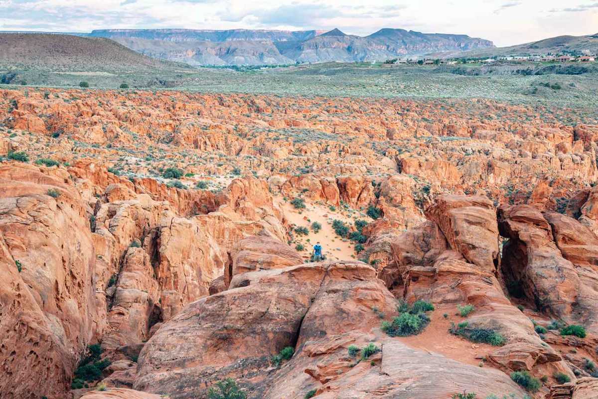 Formations rocheuses dans la réserve désertique des Falaises rouges