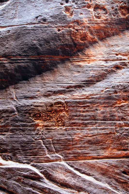 Liela raga aitas petroglifs klints sienā