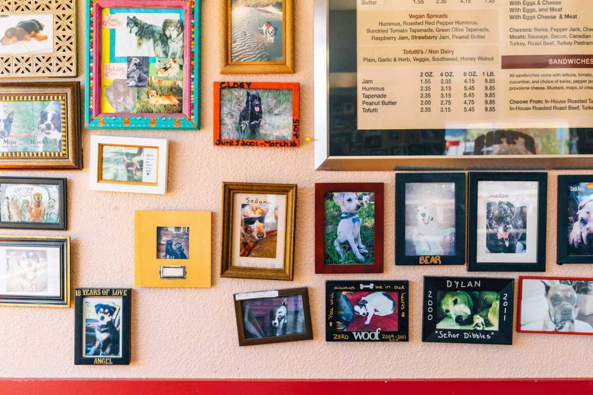 Uokvirjene fotografije psov na steni