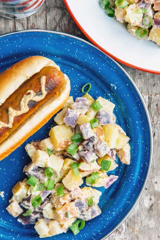 Insalata di patate e un hot dog su un piatto da campeggio blu