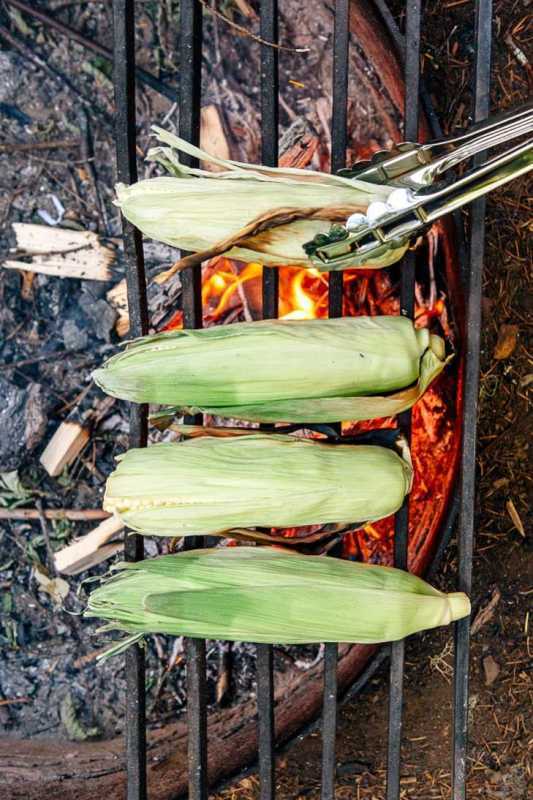 Четири кочана царевица на лагерен огън