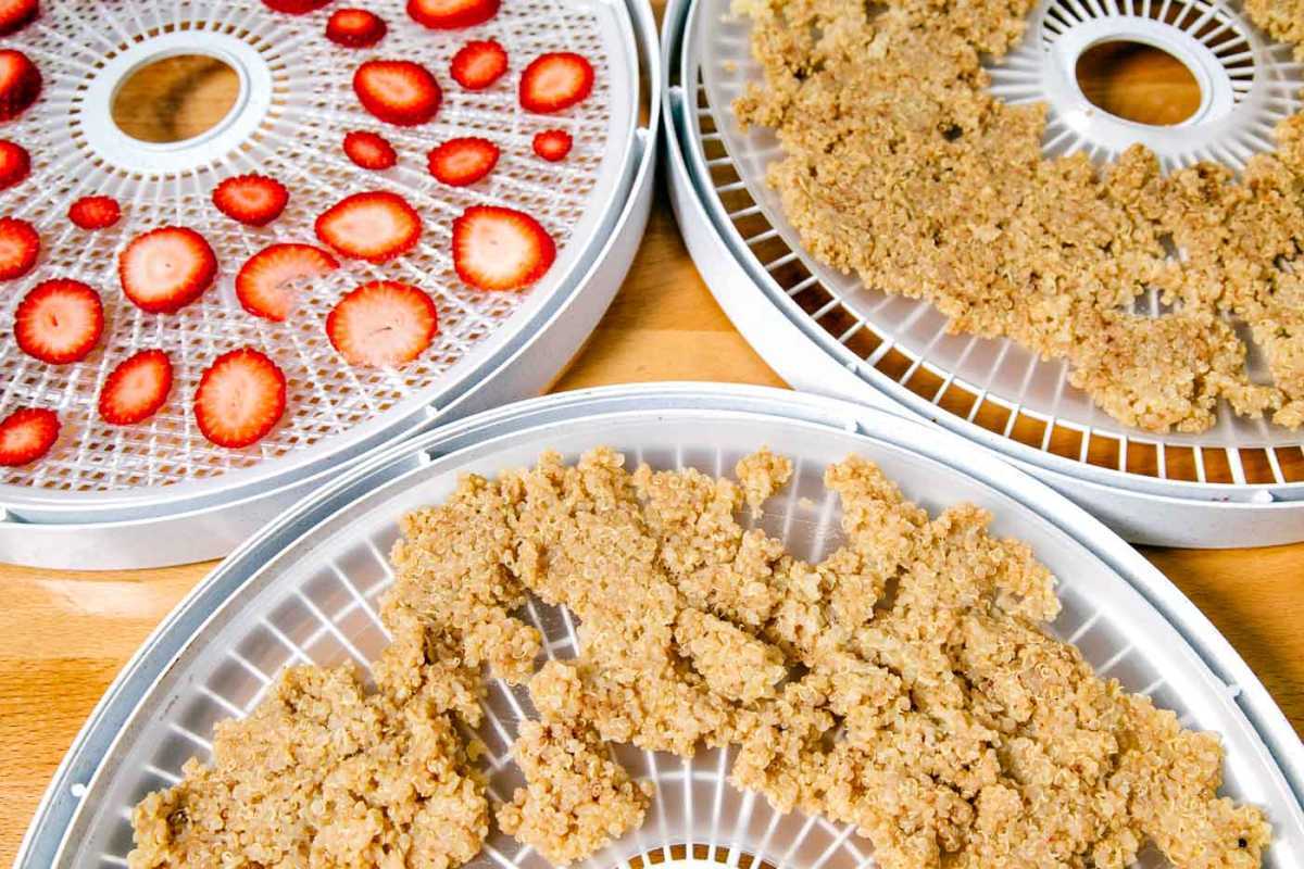 Kokt quinoa och skivade jordgubbar på dehydratorbrickor